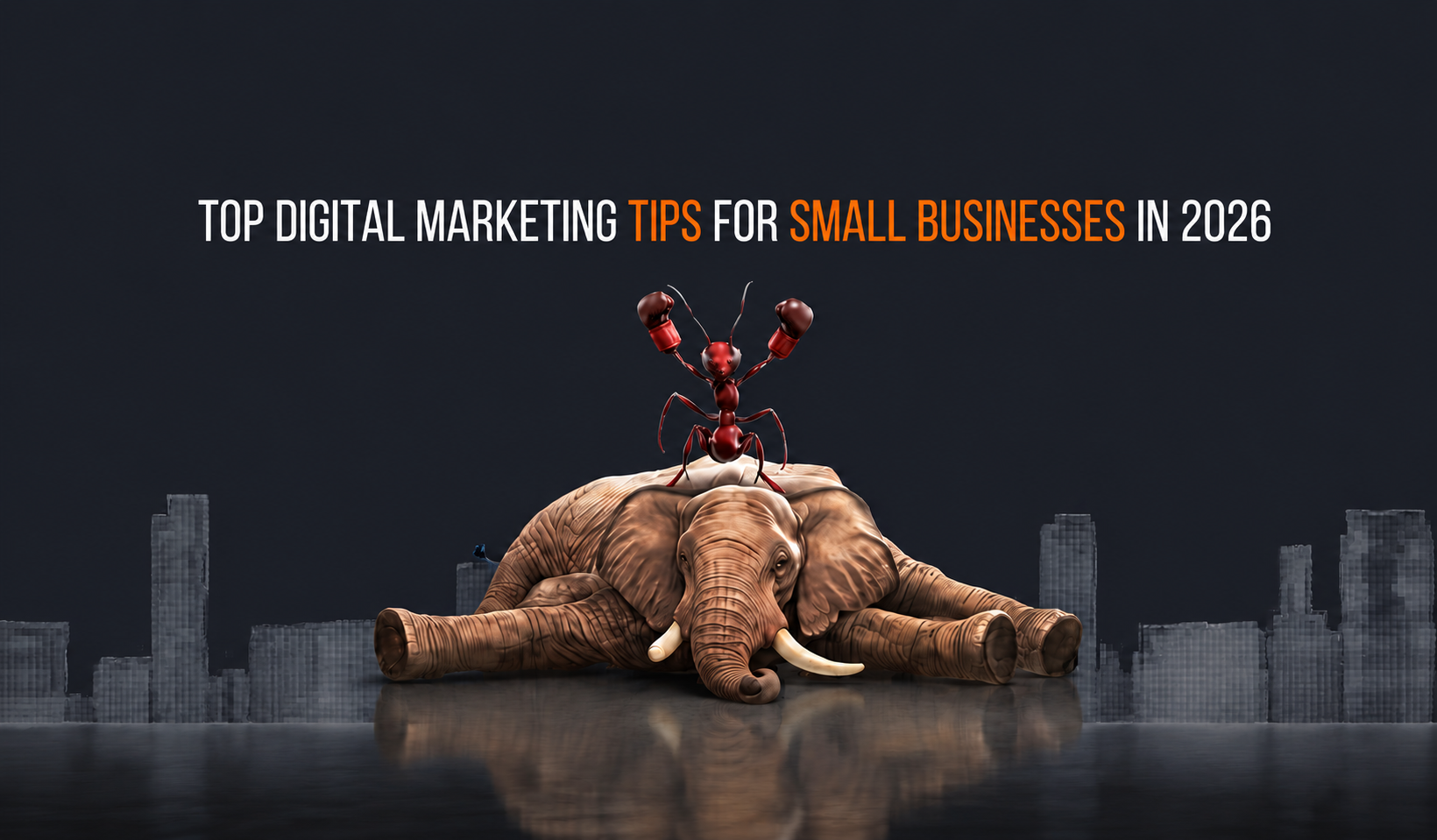Top Digital Marketing Tips for Small Businesses in 2026