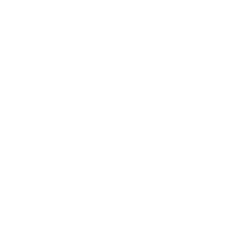 Increased Organic Visibility